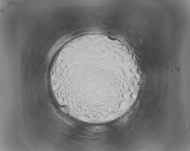 X0000067950151200605112134