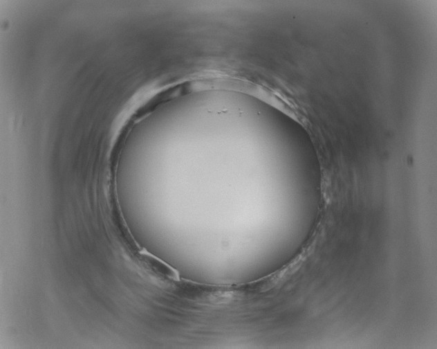 X0000067950152200605112134