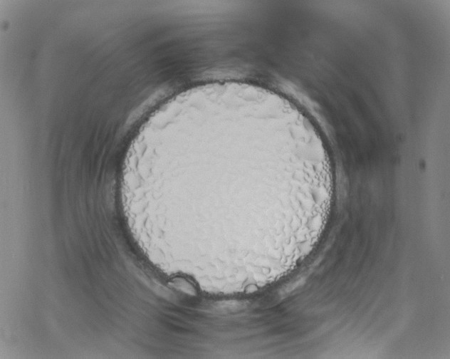 X0000067950153200605112134