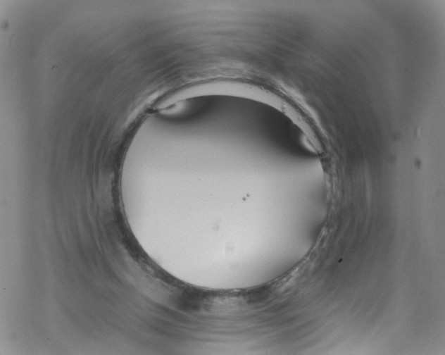 X0000067950154200605112134