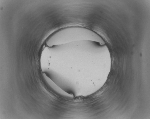 X0000067950156200605112134