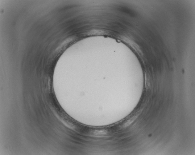 X0000067950157200605112134