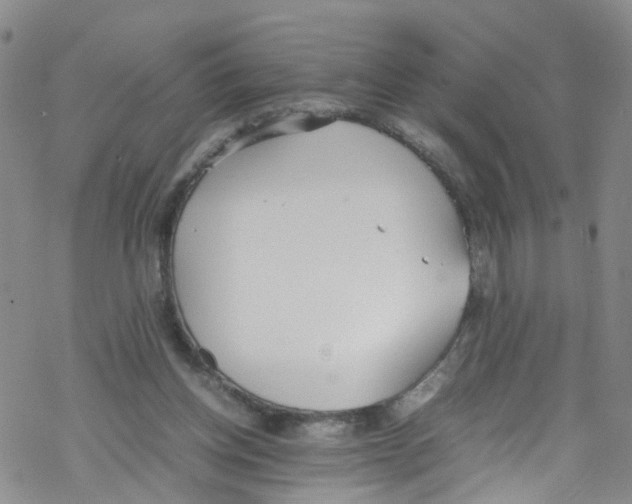 X0000067950158200605112134