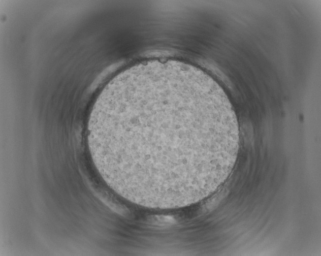 X0000067950159200605112134