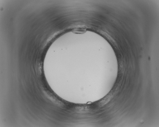 X0000067950160200605112134