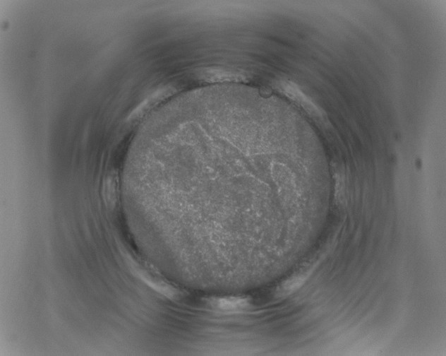 X0000067950165200605112134