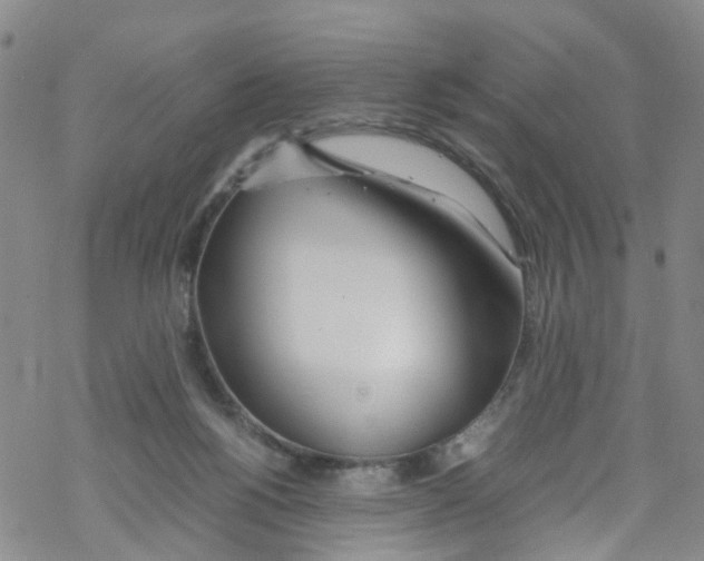 X0000067950168200605112134