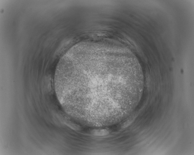 X0000067950169200605112134