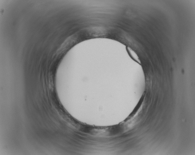 X0000067950170200605112134