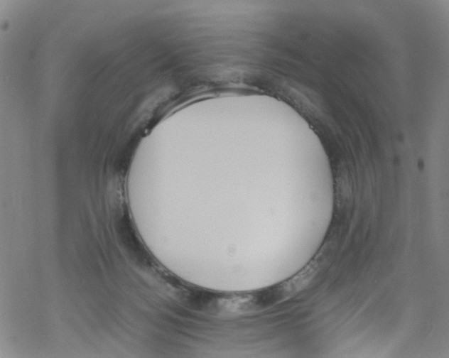 X0000067950172200605112134