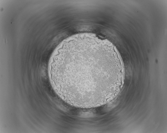 X0000067950175200605112135