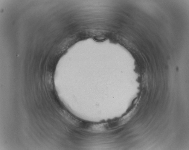 X0000067950178200605112135