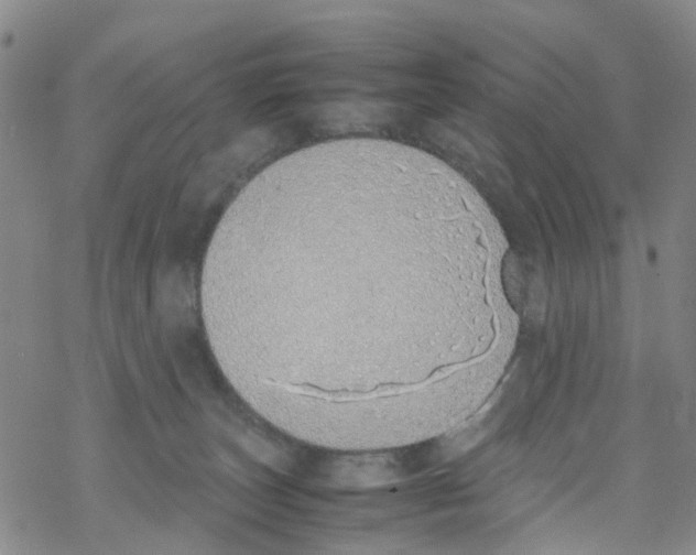 X0000067950179200605112135