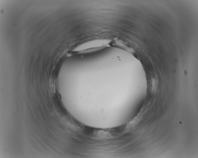 X0000067950180200605112135