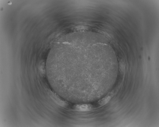 X0000067950181200605112135