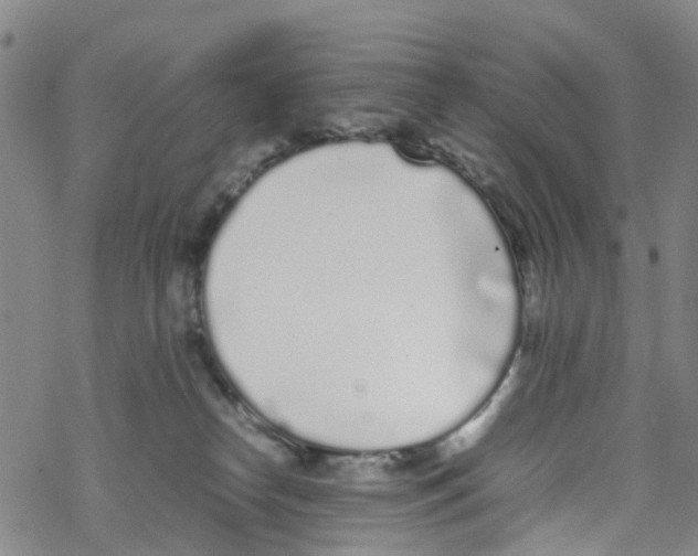 X0000067950182200605112135