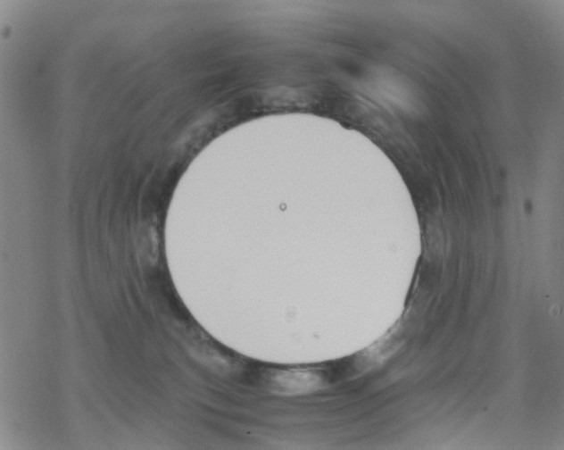 X0000067950183200605112135