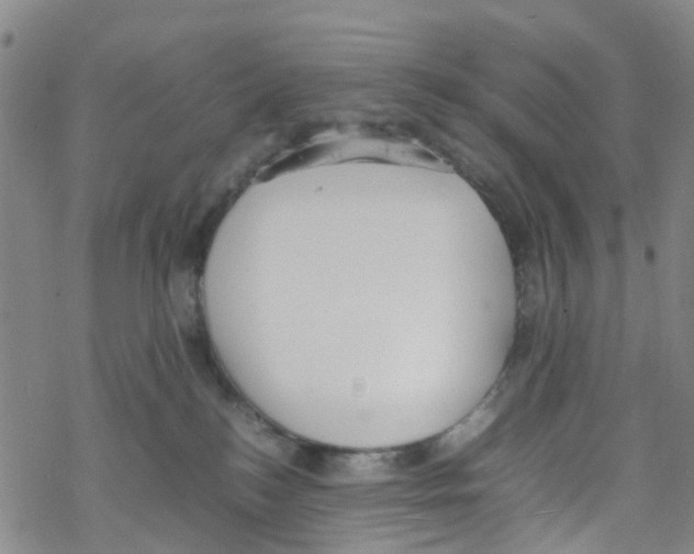 X0000067950184200605112135