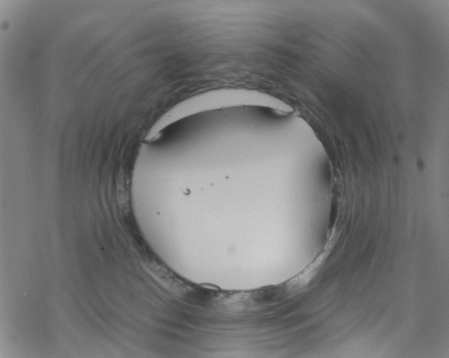 X0000067950186200605112135