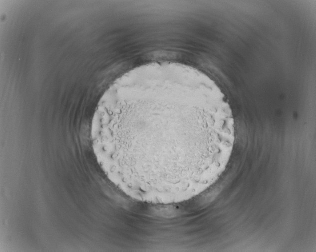 X0000067950189200605112135