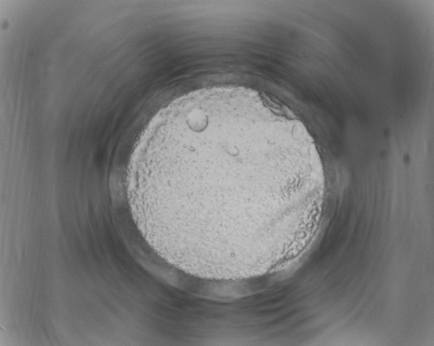 X0000067950191200605112135