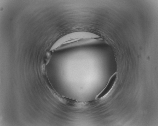 X0000067950192200605112135