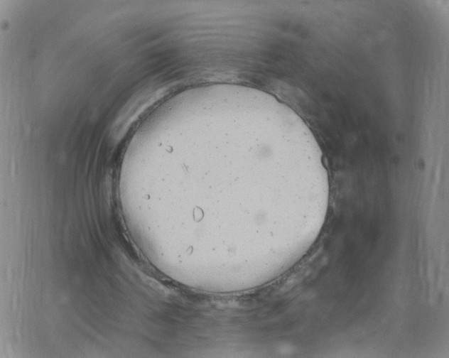 X0000067950194200605112134