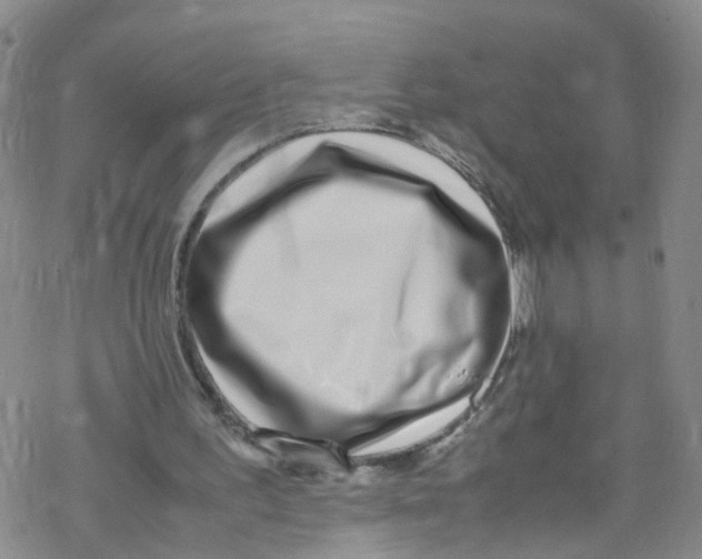 X0000067950195200605112134