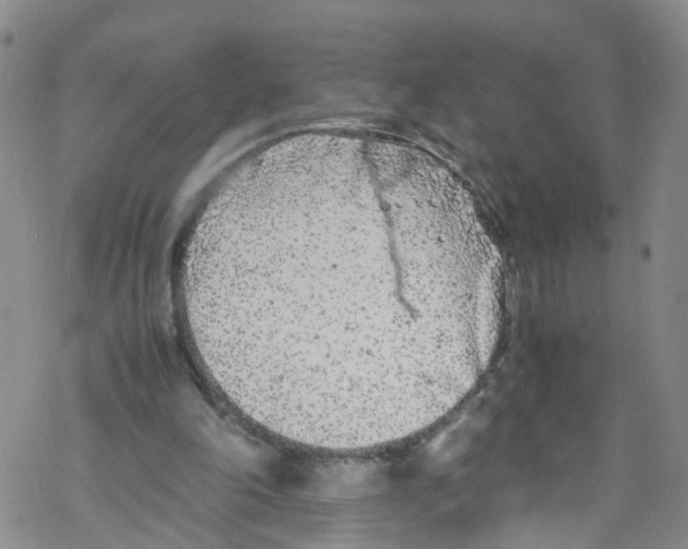 X0000067950198200605112134