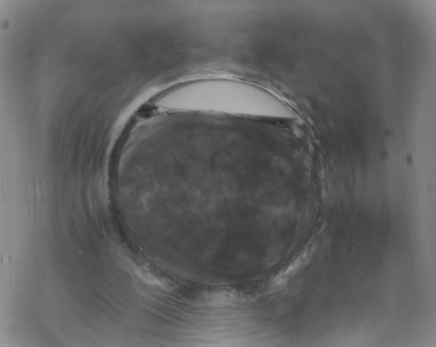 X0000067950200200605112134