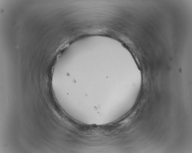 X0000067950201200605112134