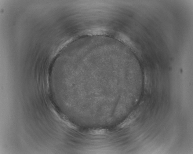 X0000067950202200605112134