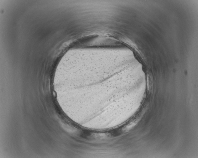 X0000067950205200605112134