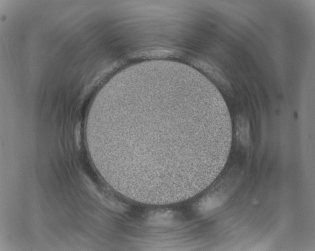 X0000067950206200605112134