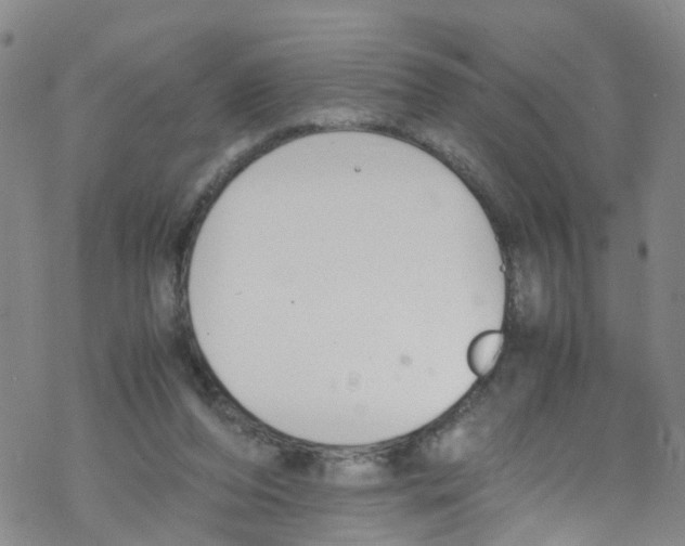 X0000067950208200605112134