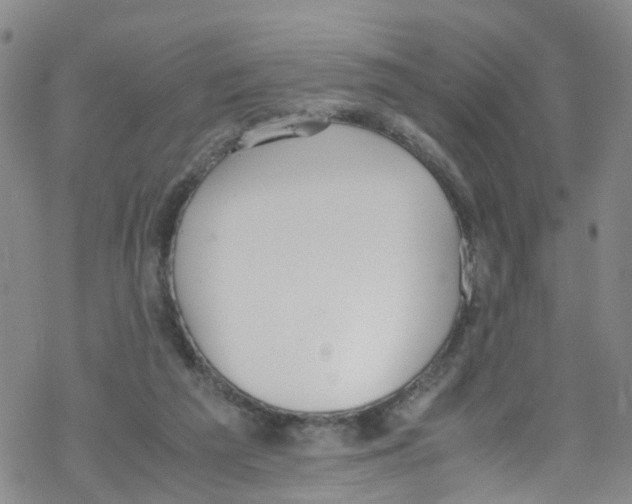 X0000067950209200605112134