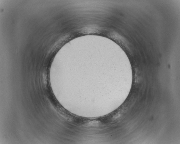 X0000067950210200605112134