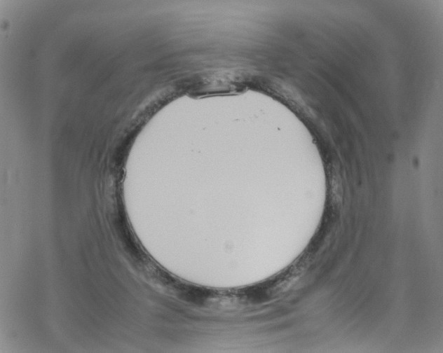 X0000067950211200605112134