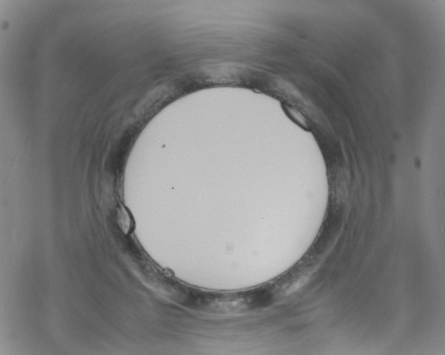 X0000067950213200605112134