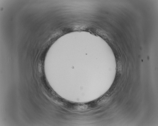 X0000067950215200605112134