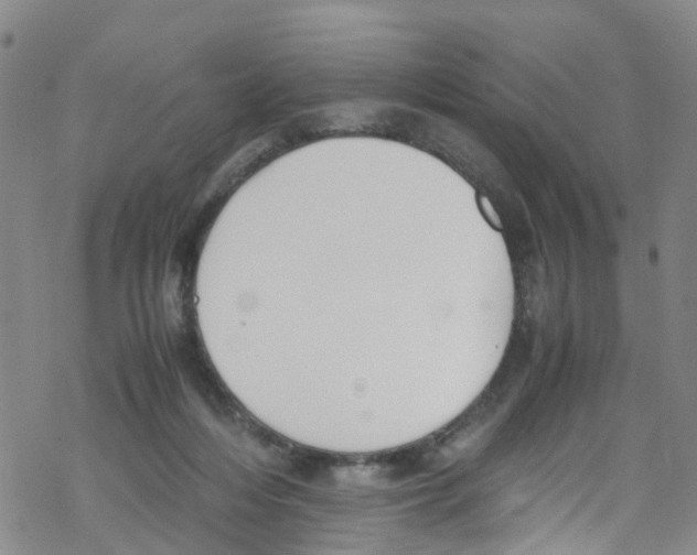 X0000067950216200605112134