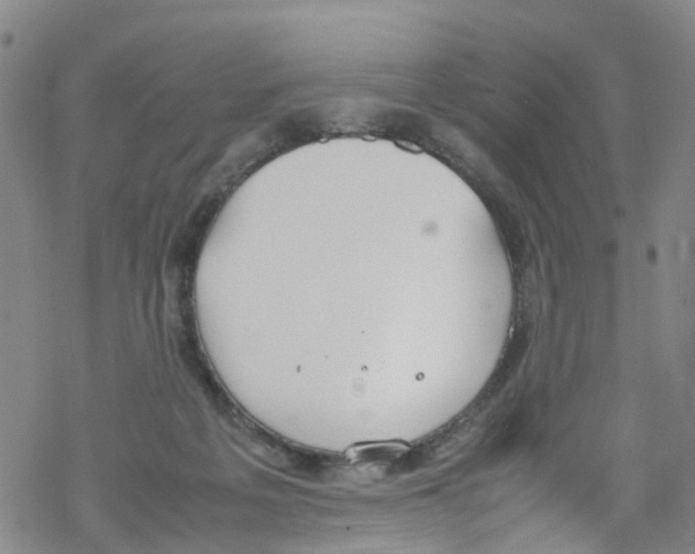 X0000067950217200605112134