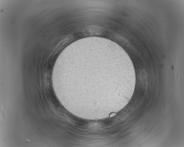 X0000067950218200605112134