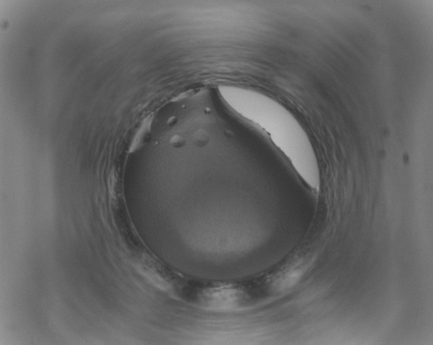 X0000067950219200605112134