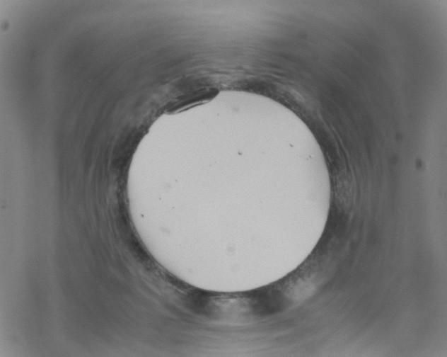 X0000067950221200605112133