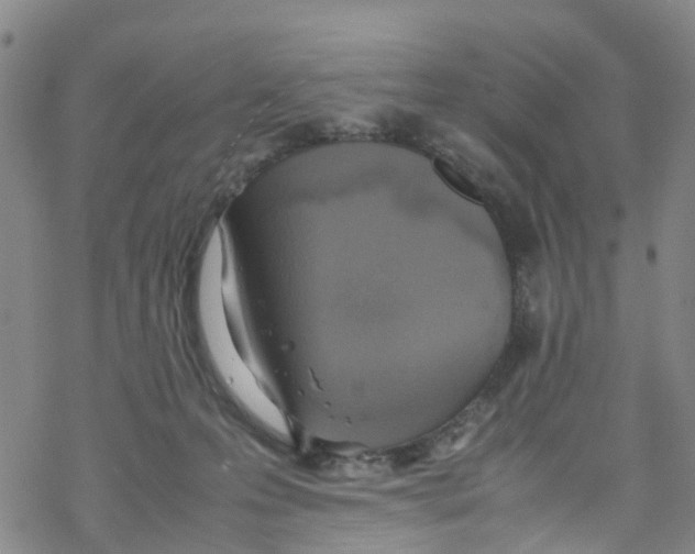 X0000067950223200605112133