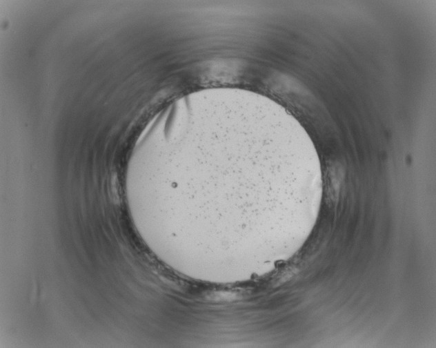 X0000067950224200605112133