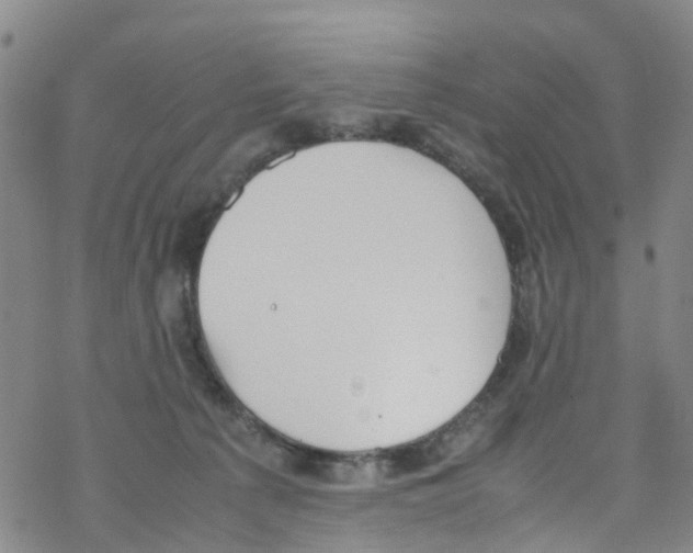 X0000067950225200605112133