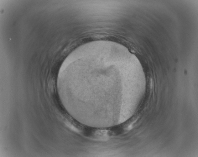 X0000067950227200605112133