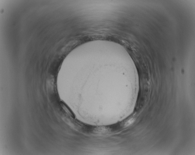 X0000067950231200605112133